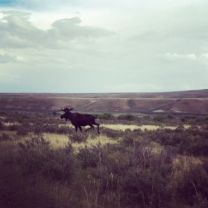 Hunting and Habitat: What Stories Will We Tell?