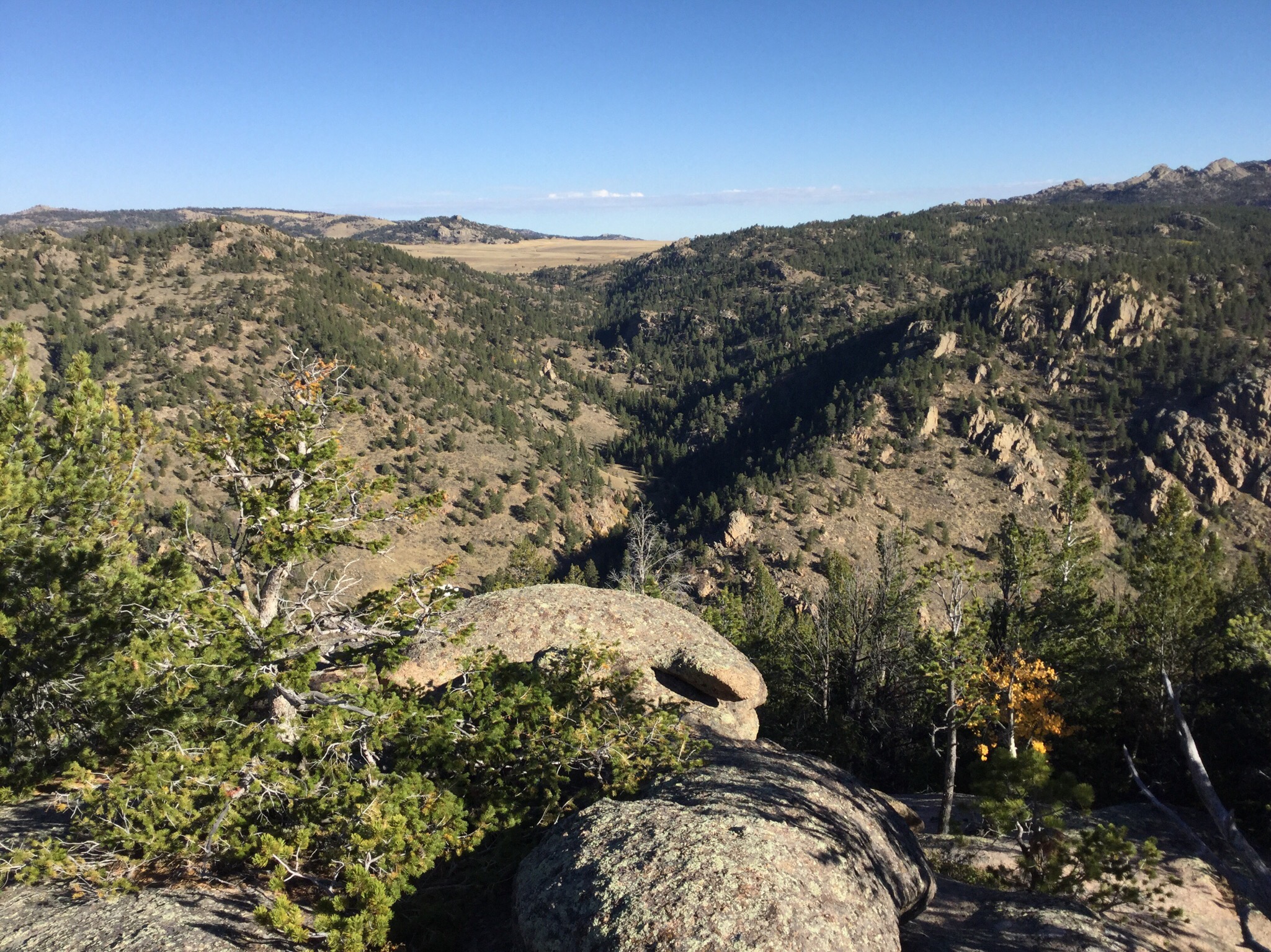 707 Acres Conserved in the Laramie Mountain Range